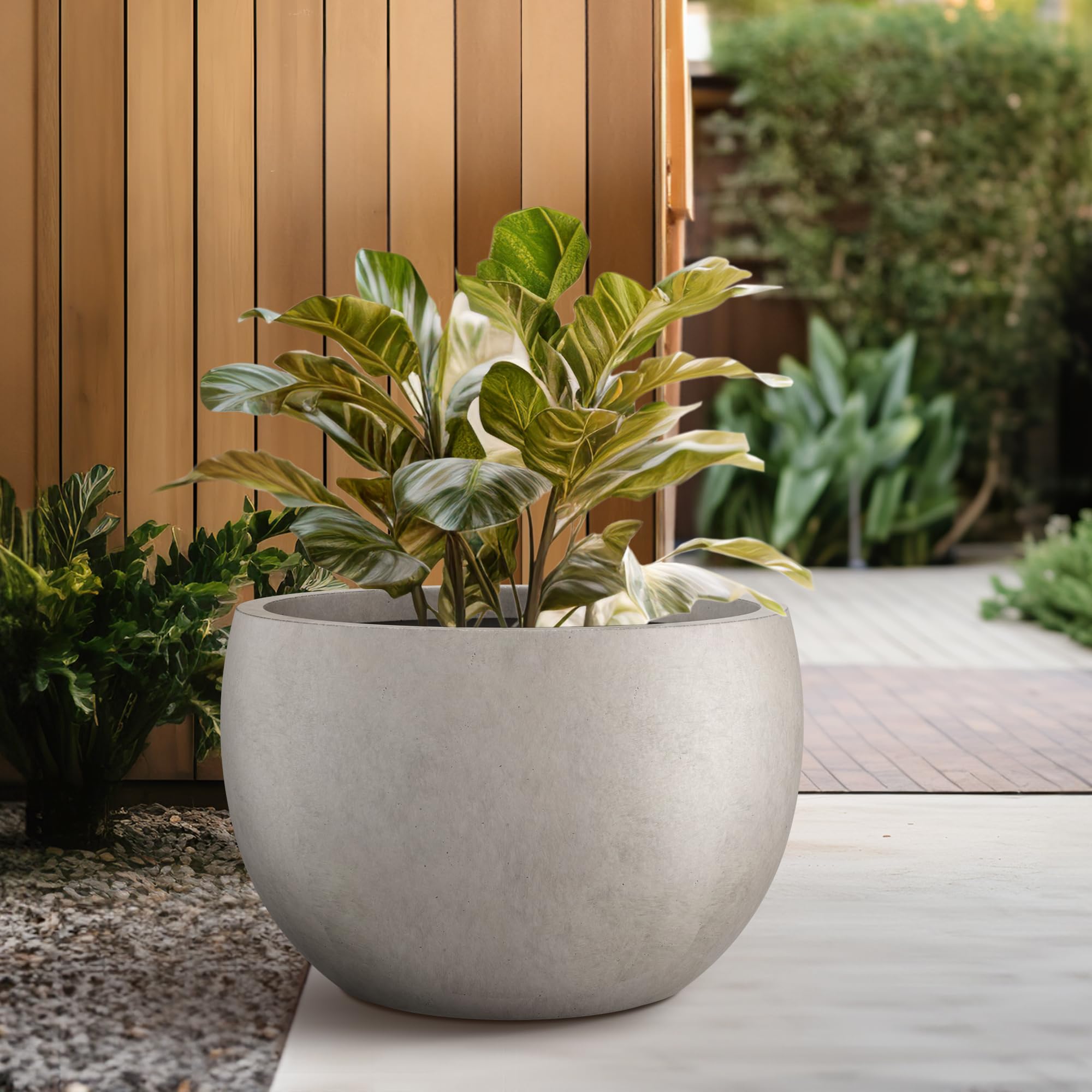 Kante planter filled with succulents demonstrating planting arrangement and visual impact