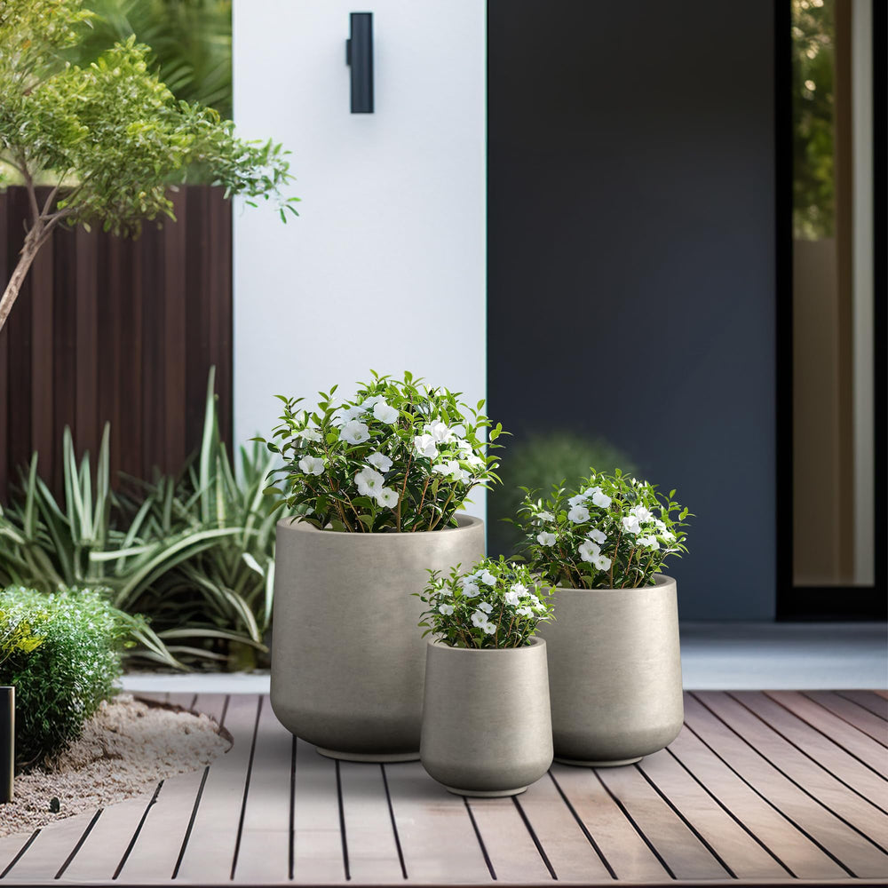 Kante interior view with soil and plants showing ample growing space