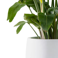 kante rim and inner surface close-up showing smooth interior for easy planting