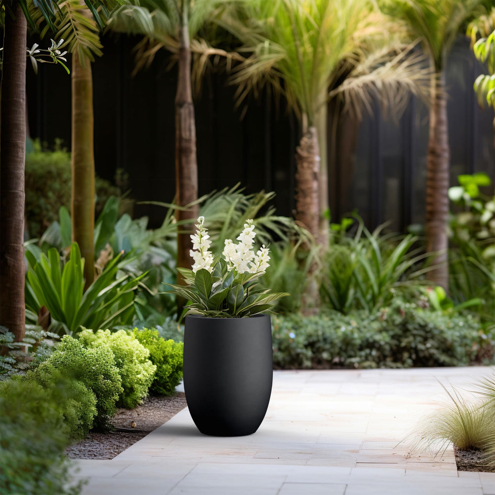 Kante beside a medium plant for scale showing generous capacity and visual balance