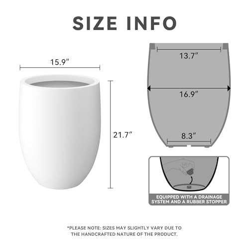 Kante scale next to sofa demonstrating lightweight portability benefit