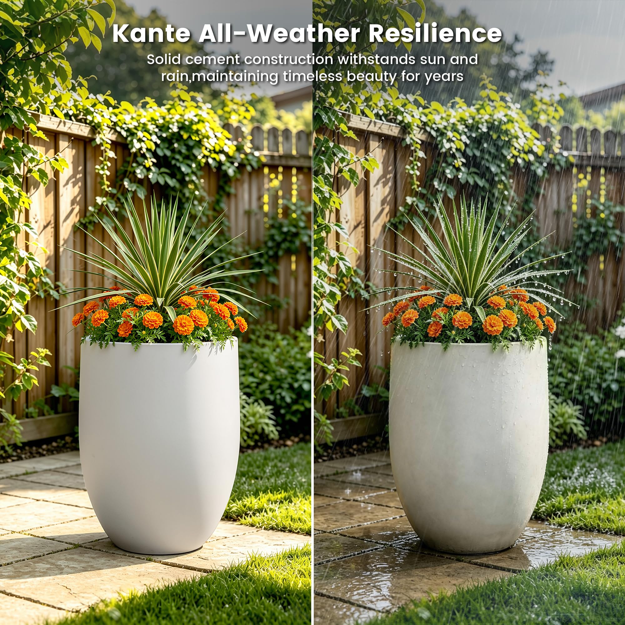 Kante planter with fiddle leaf fig illustrating generous capacity and styling impact
