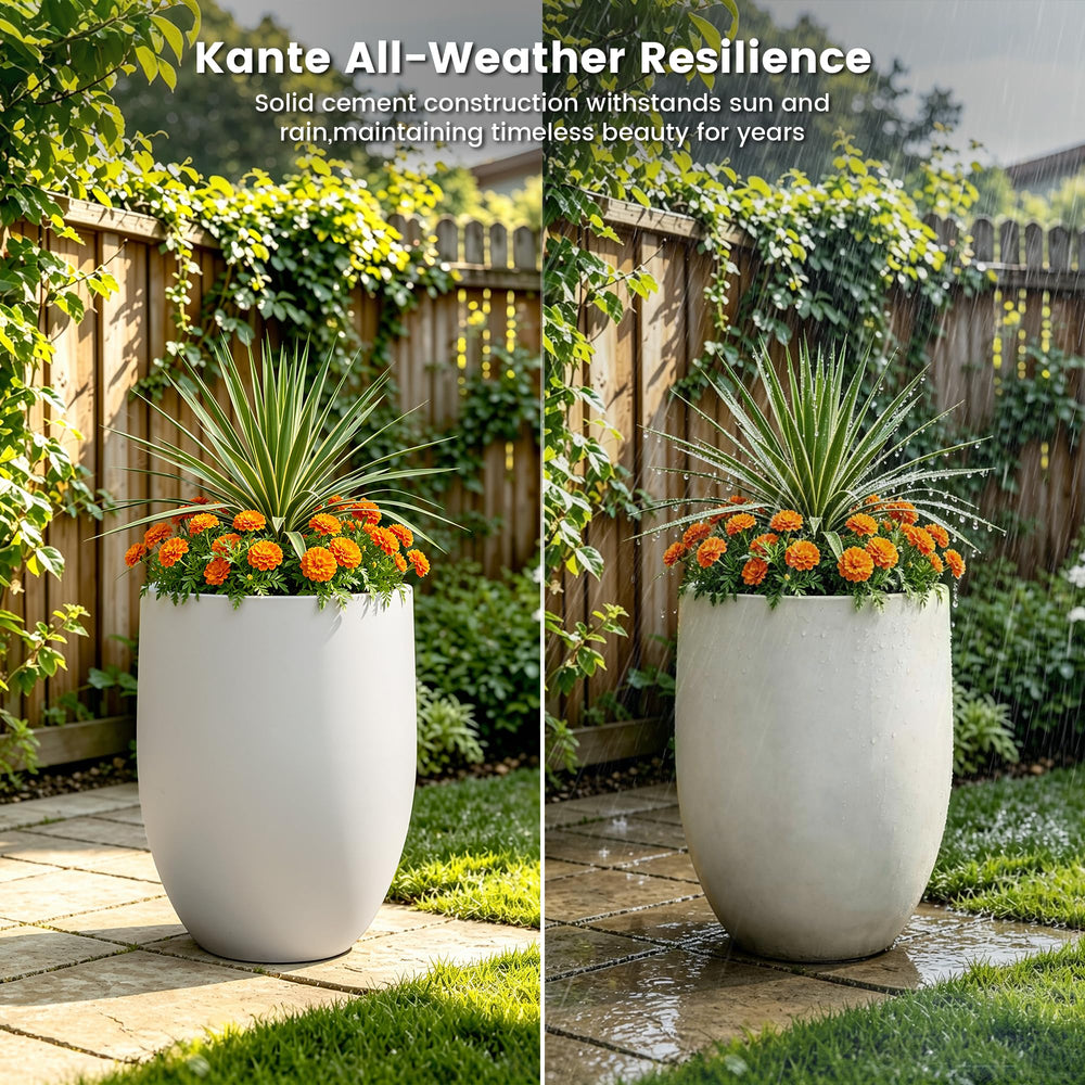 Kante planter with fiddle leaf fig illustrating generous capacity and styling impact