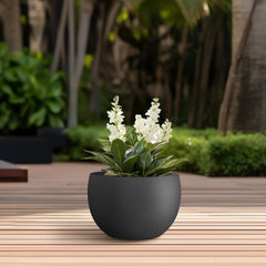 Kante planter with succulent demonstrating proper scale and planting benefit