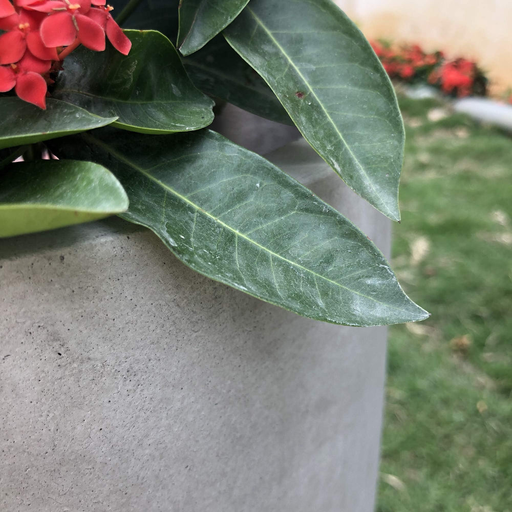 Kante planter beside chair showing scale and easy portability for placement