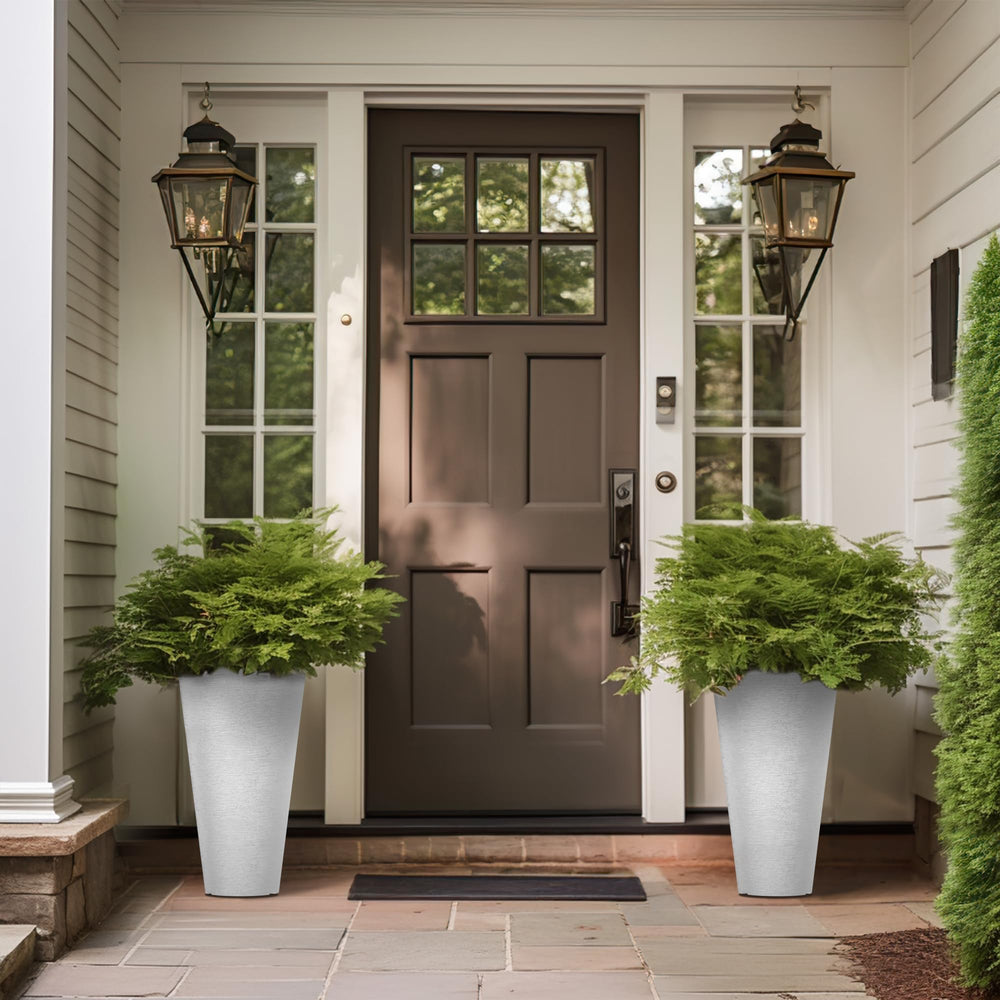 Kante size comparison beside chair demonstrates scale for large houseplants