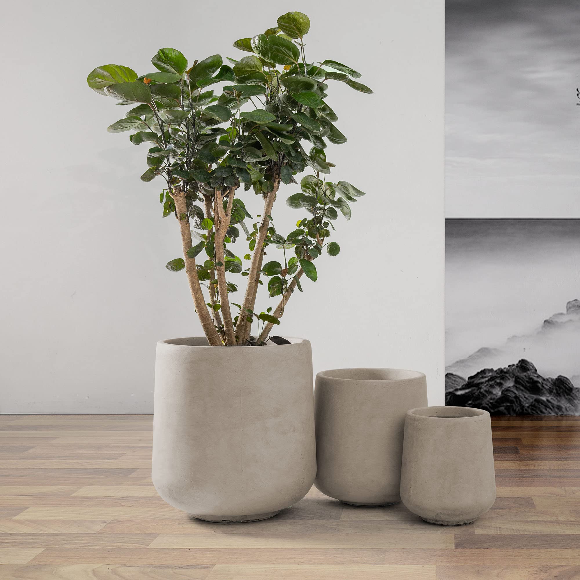 Kante small planter on shelf offering scale and easy placement