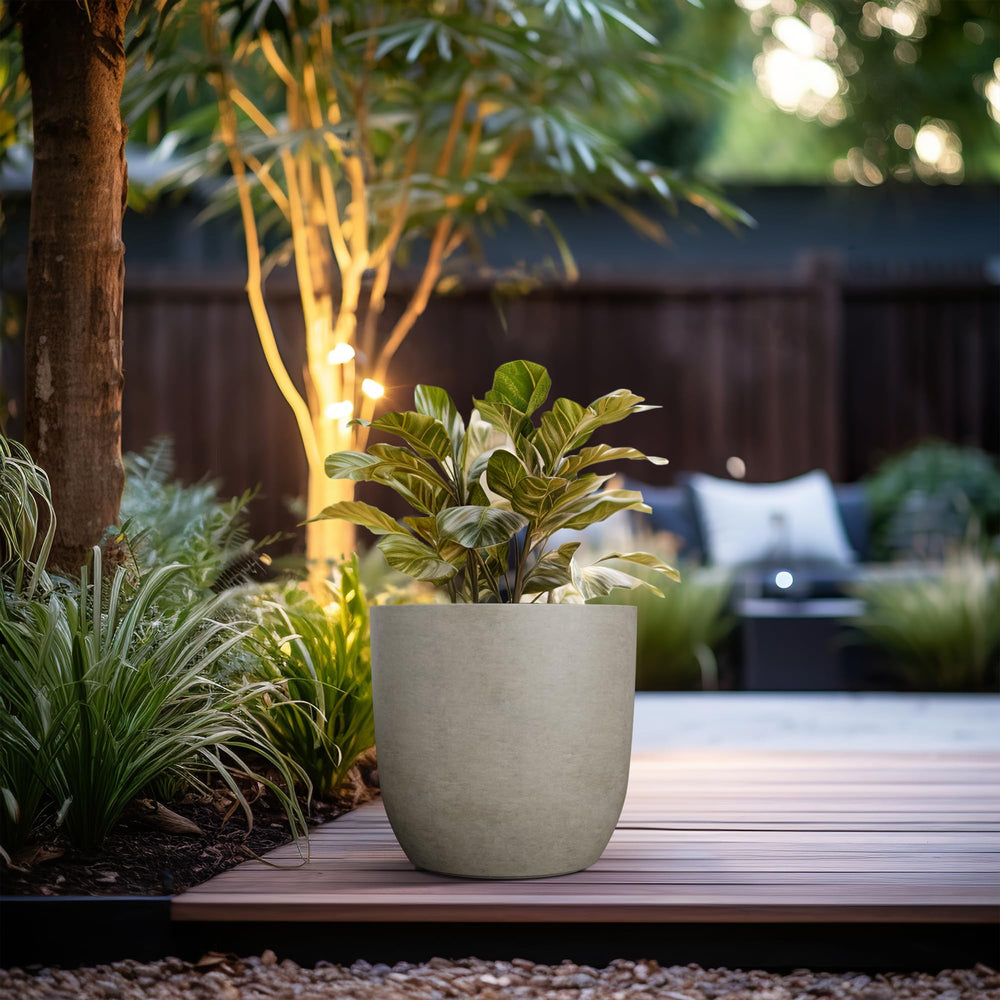 Kante planted with succulents demonstrating healthy arrangement benefit