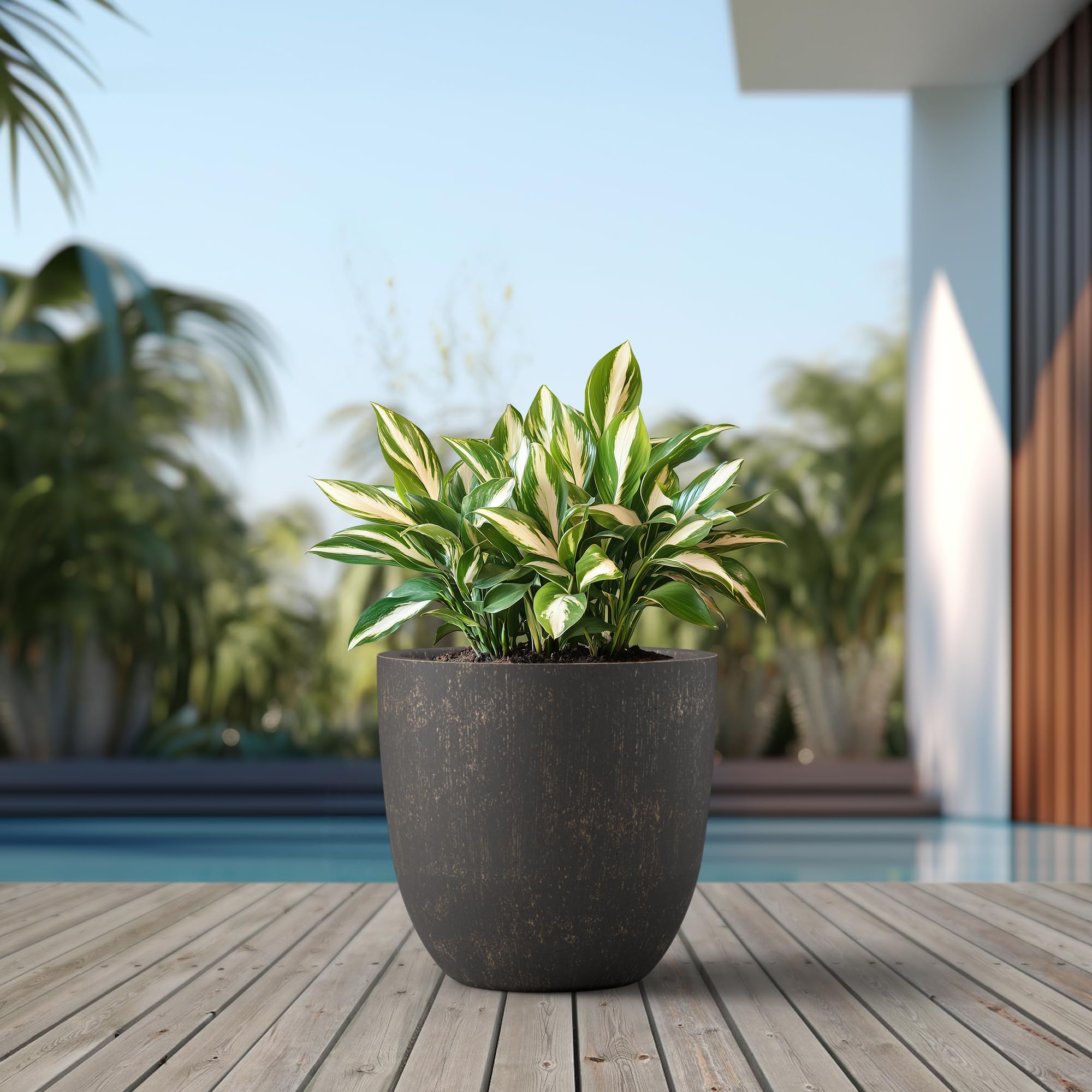 Kante textured surface porous finish close-up emphasizing authentic stone look