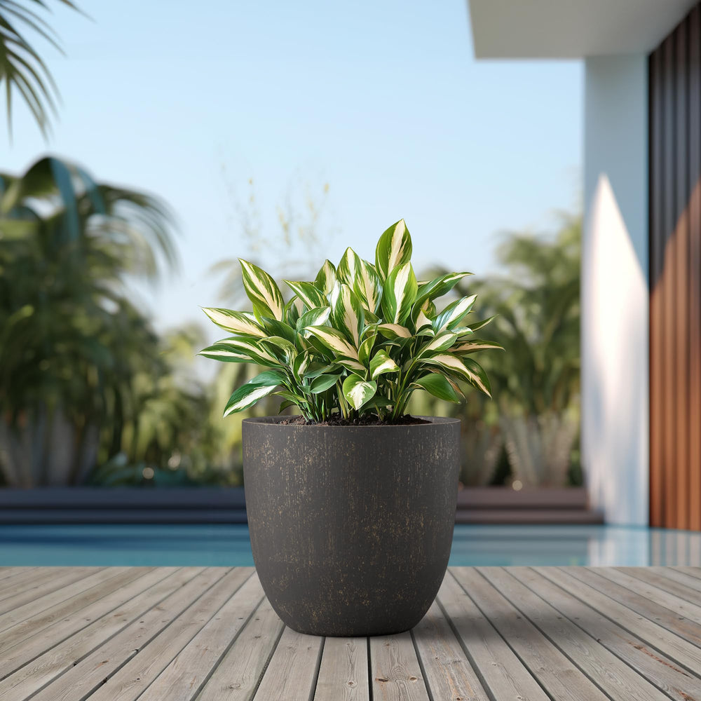 Kante textured surface porous finish close-up emphasizing authentic stone look