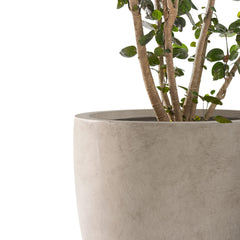 Kante top view with plants inside illustrating roomy planting capacity