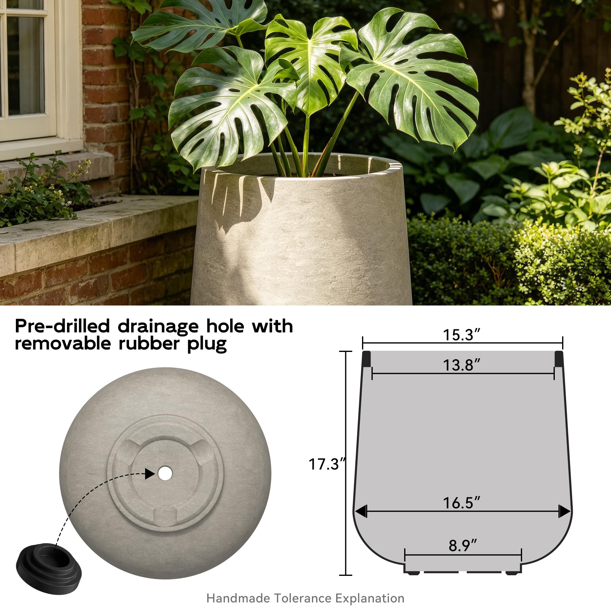 Kante planter with fiddle leaf fig showing scale and planting capacity