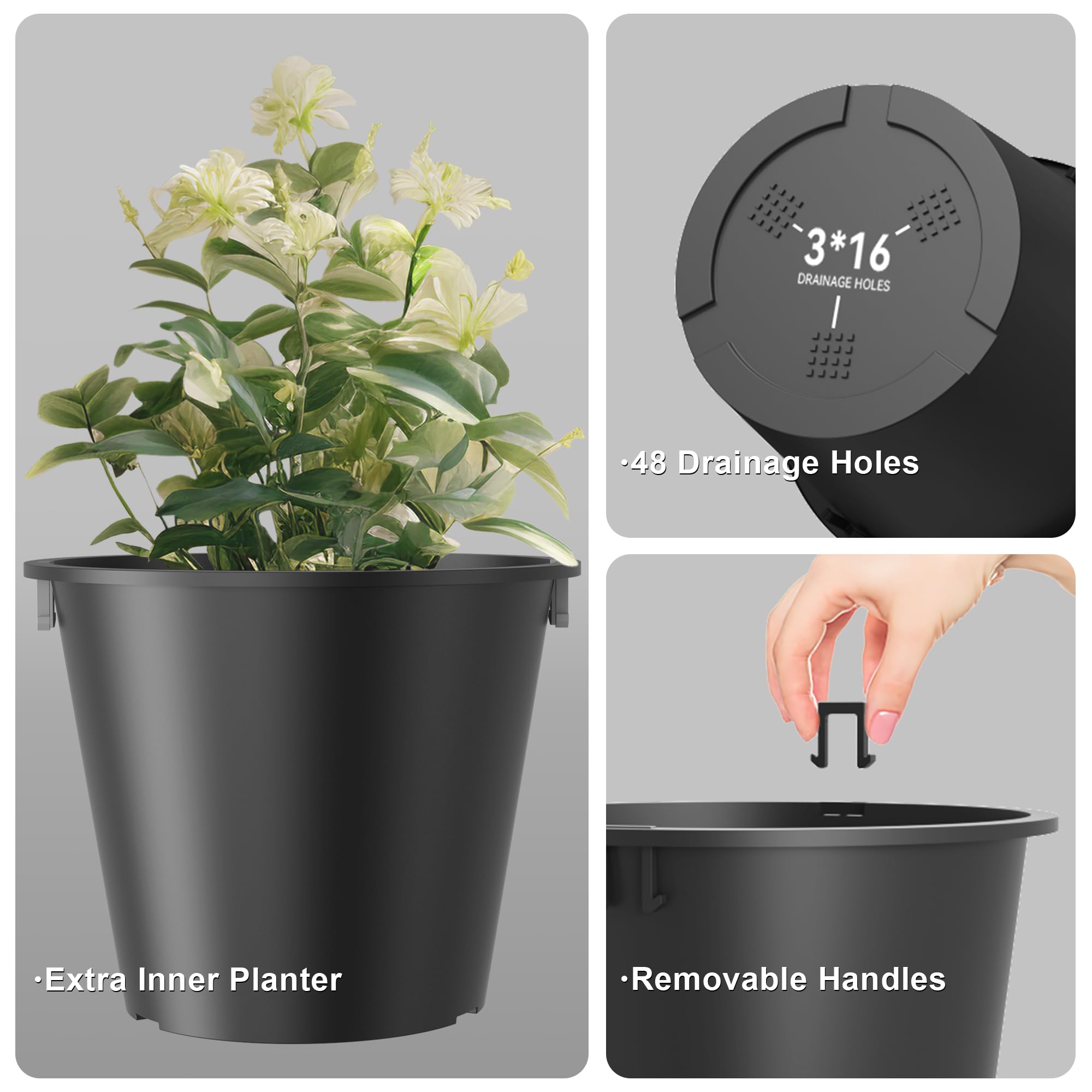 Kante planter filled with green foliage demonstrating healthy display and drainage