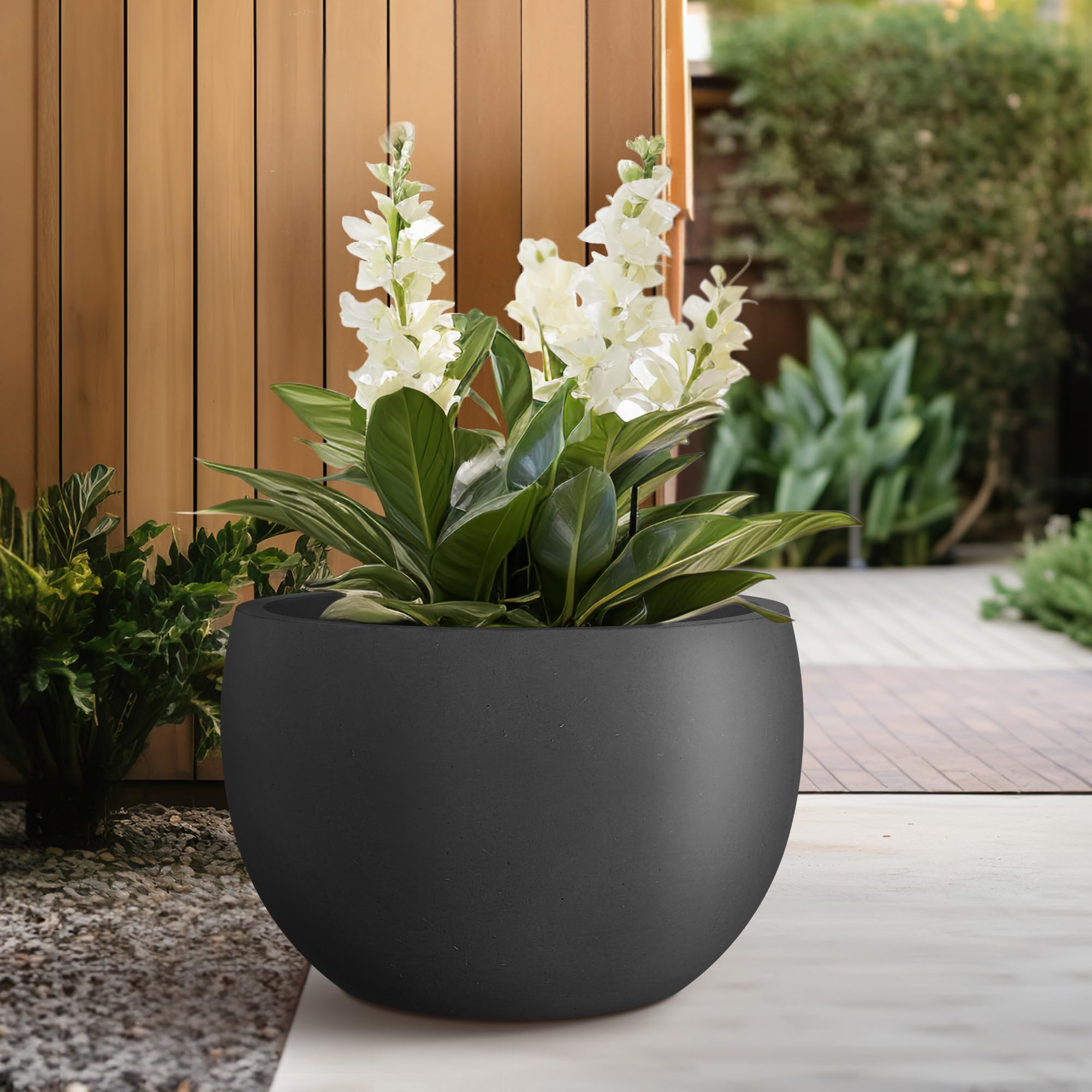 Kante filled with a large succulent demonstrating generous growing space and healthy plant benefit