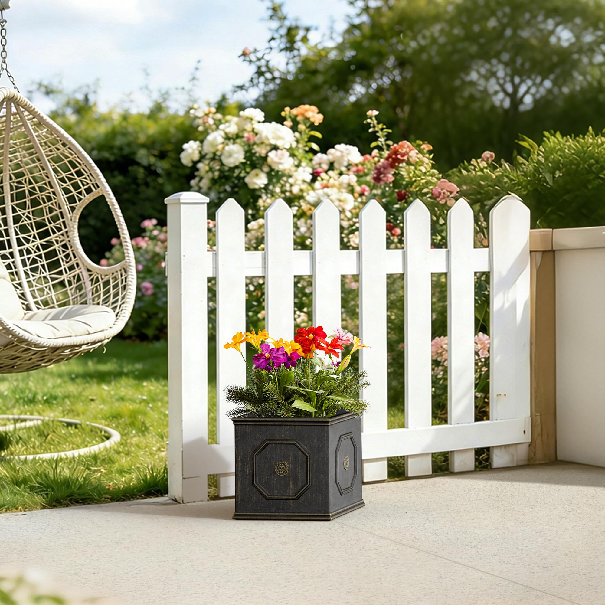 Kante planter holding a medium shrub on a porch illustrating placement ideas