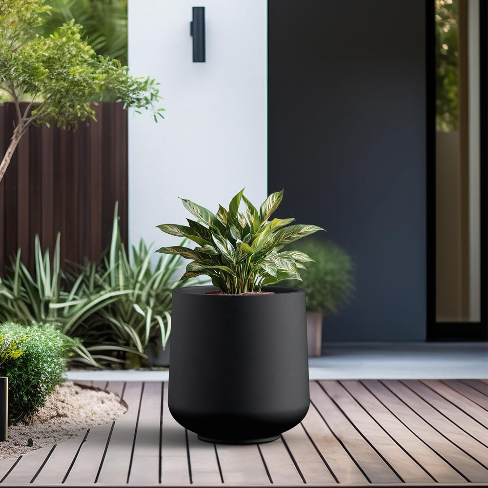 Kante planted with tall greenery on patio showing dramatic curb appeal benefit