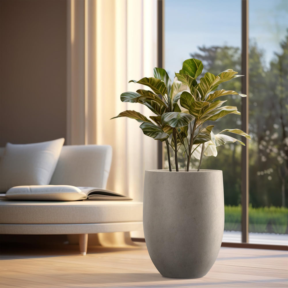 Kante planted with a small tree on a porch highlighting generous capacity