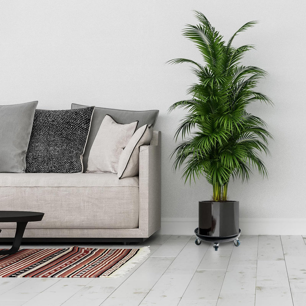 Kaoolaa dollies under indoor planters in sunroom, protects floors and looks tidy