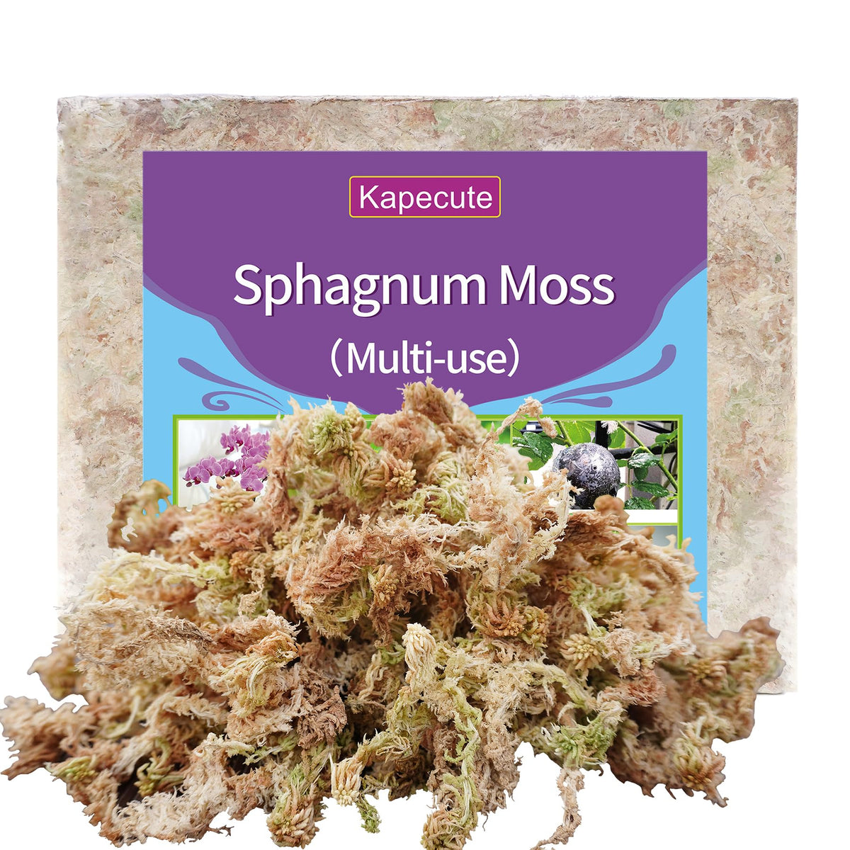 Kapecute front packaging showing compressed moss brick and label benefits