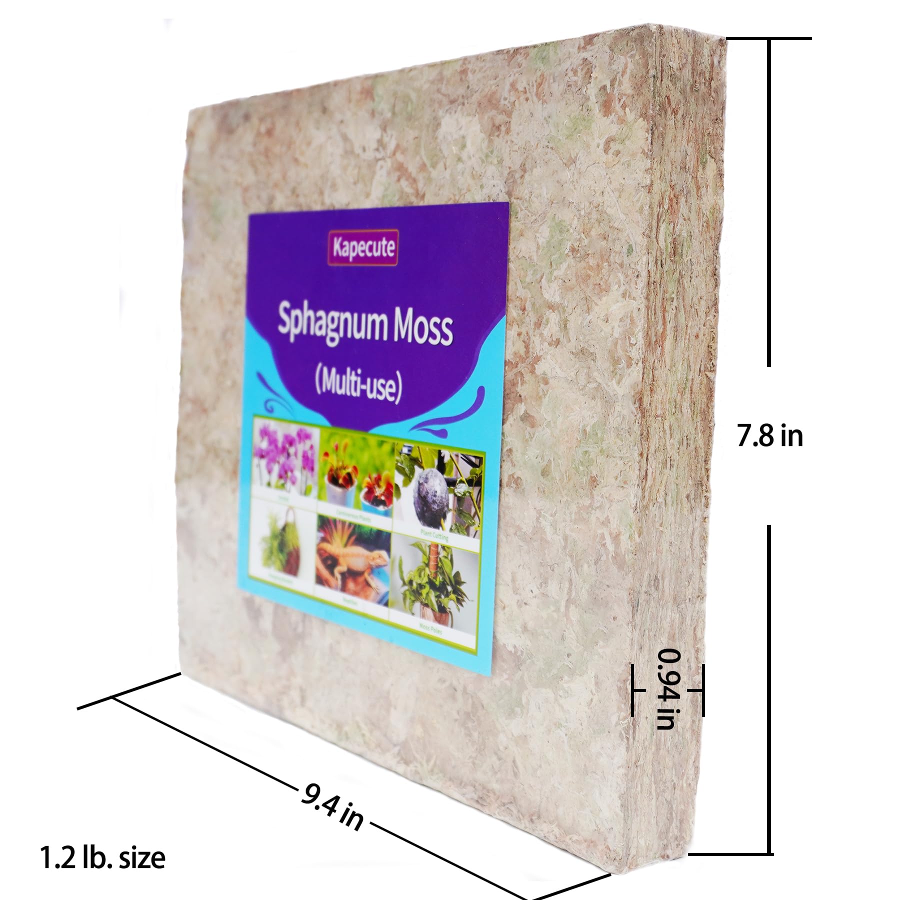 Kapecute moss brick next to ruler showing scale and expanded volume