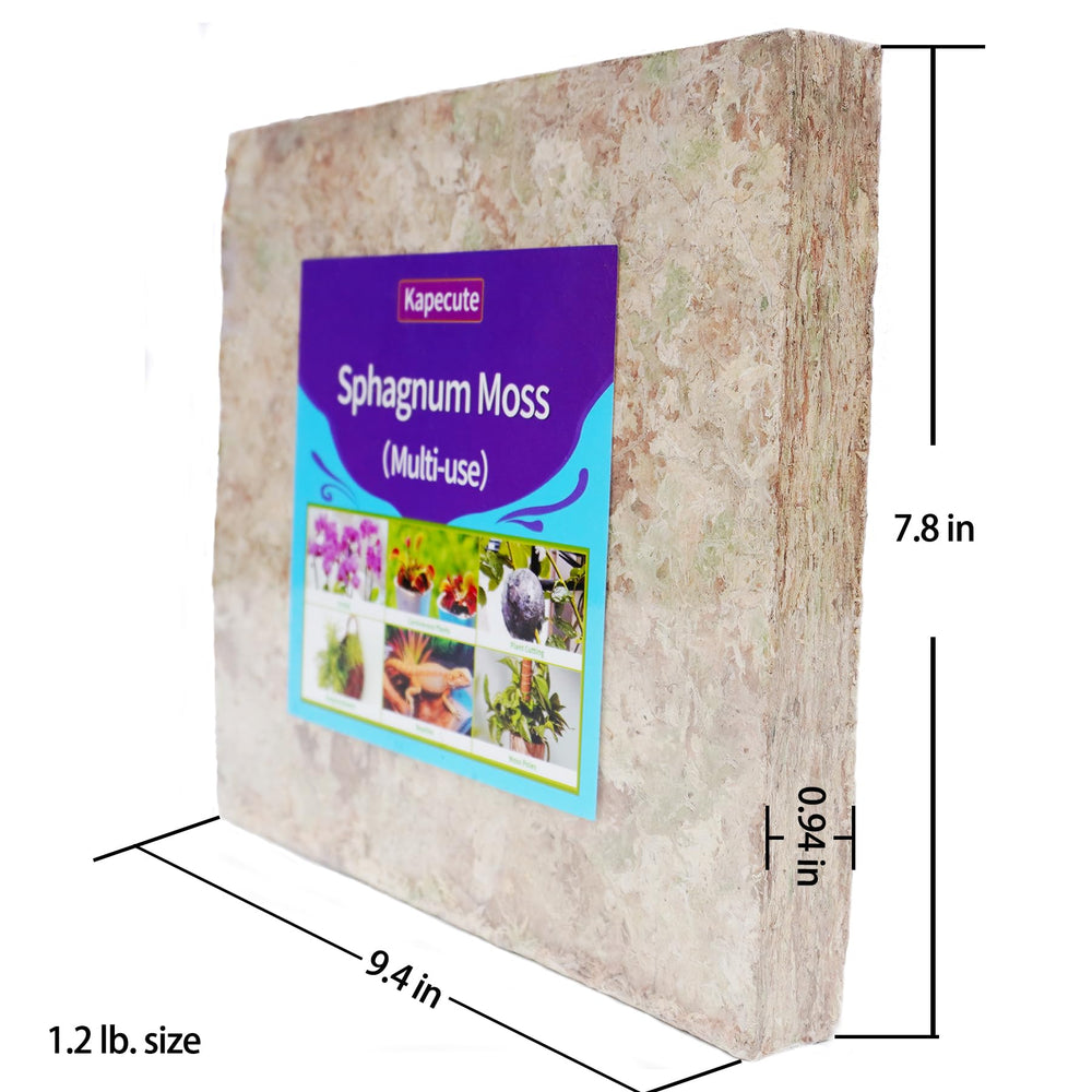 Kapecute moss brick next to ruler showing scale and expanded volume