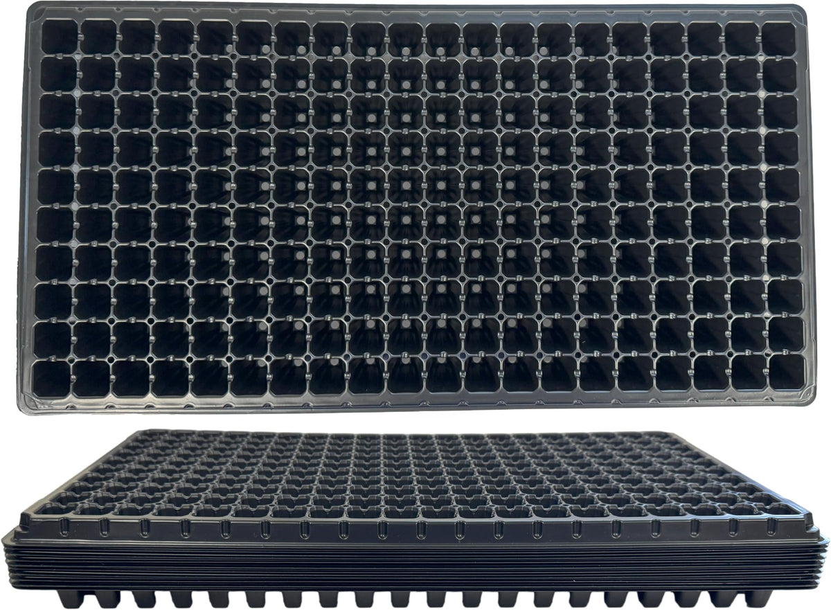 Kapok Candle Co front view of 200-cell tray showing matte black finish and capacity benefit
