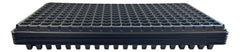 Kapok Candle Co tray with young seedlings in place showing efficient germination benefit