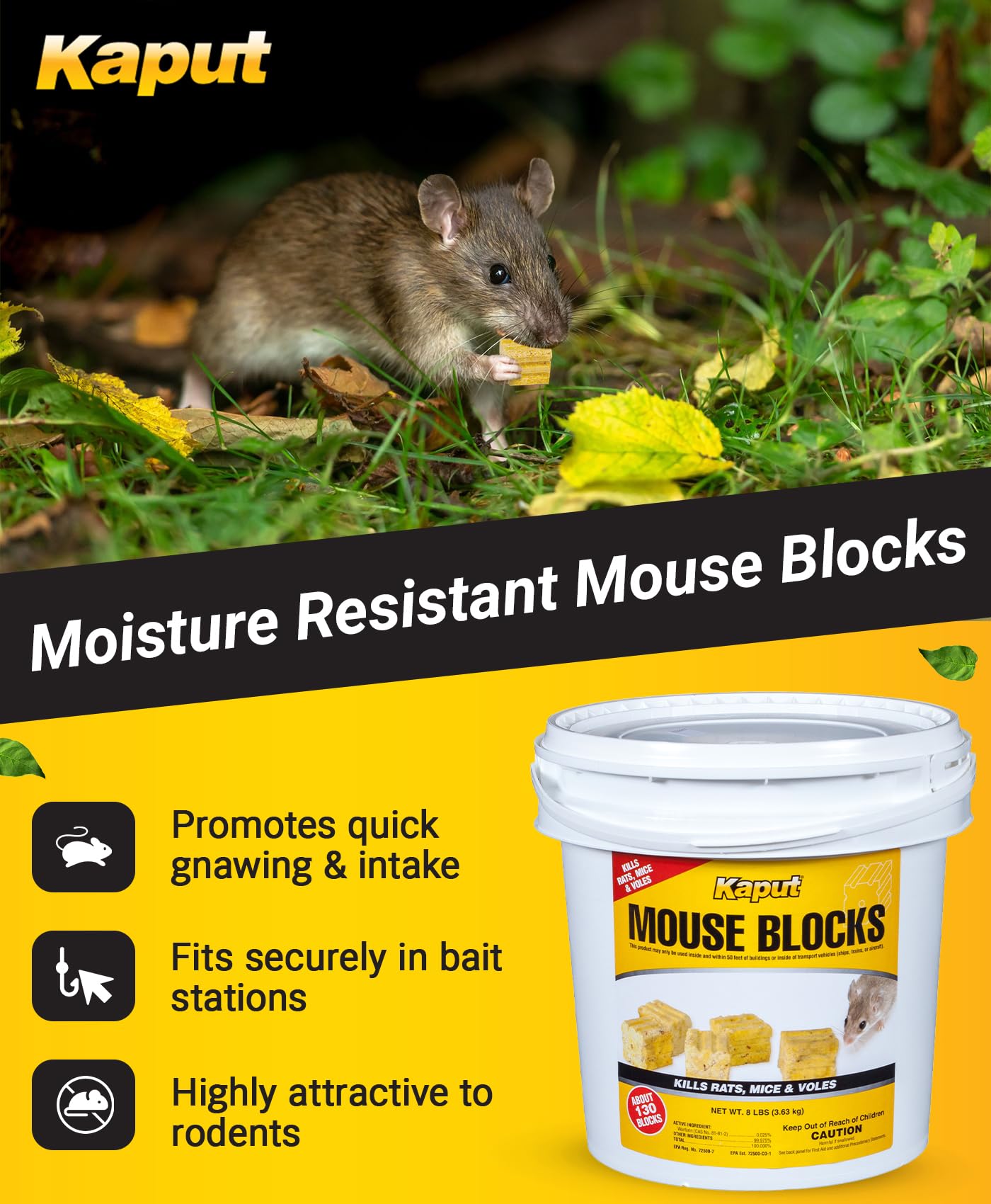 Kaput blocks placed inside a tamper-resistant bait station for safe targeted use