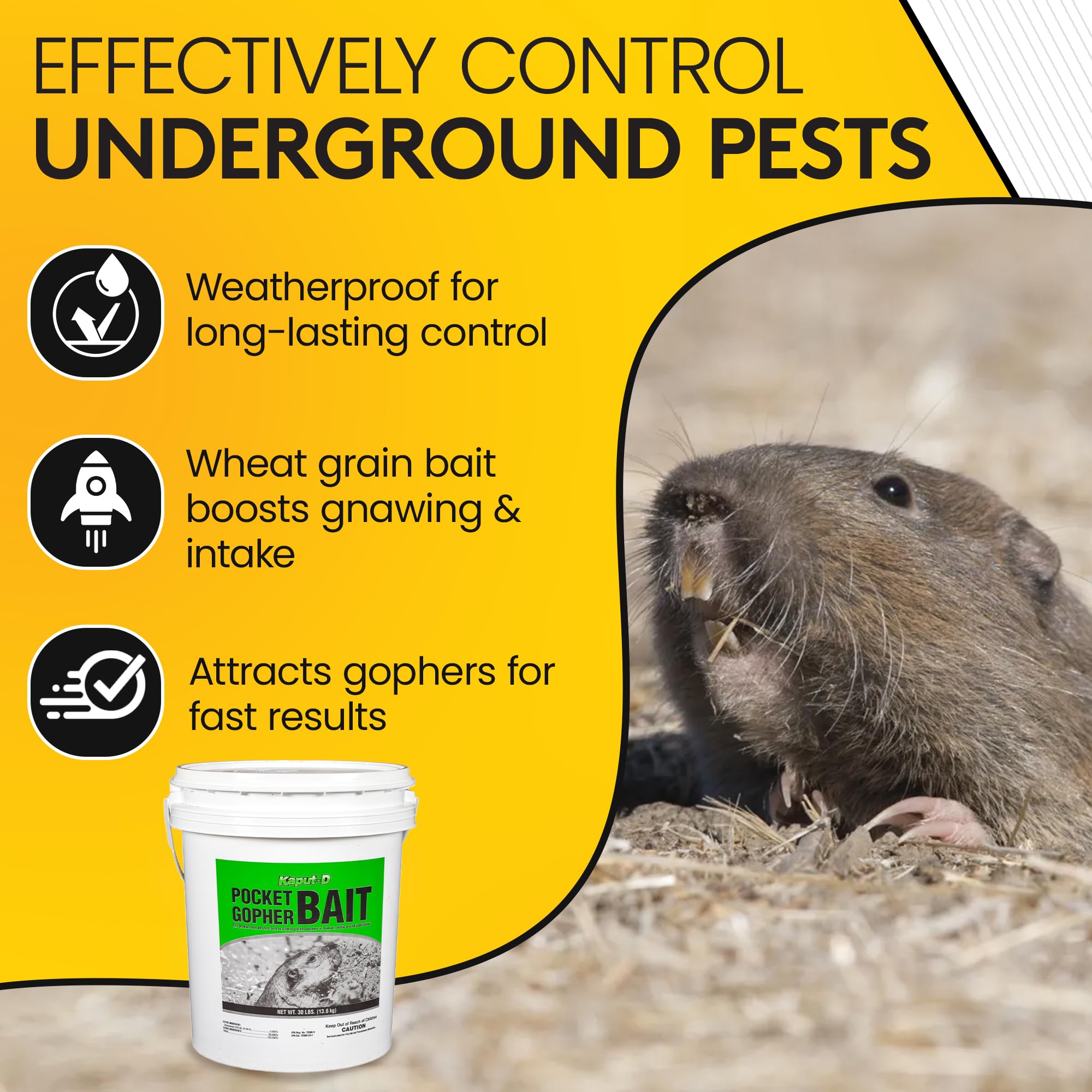 Kaput bait placed in gopher tunnel demonstrating targeted application and reduced exposure