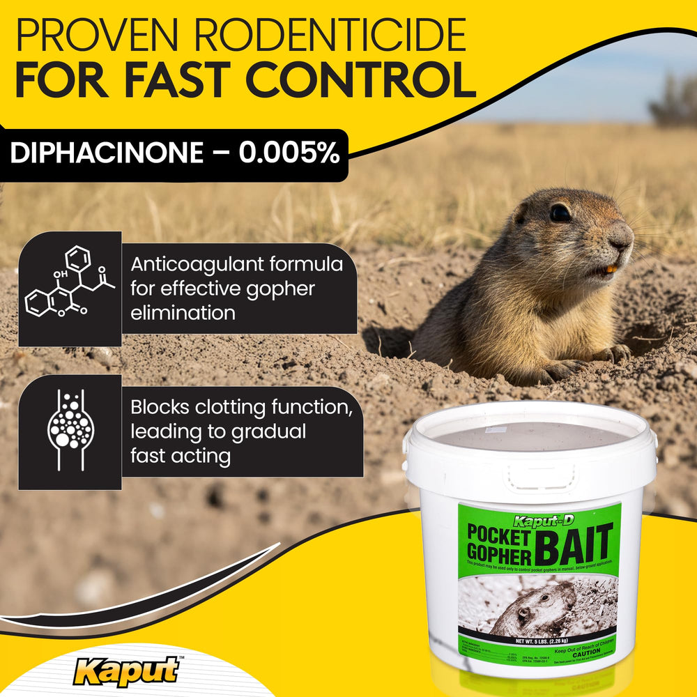 Kaput Kaput-D wheat grain close-up texture highlights bait palatability and consistent grain size