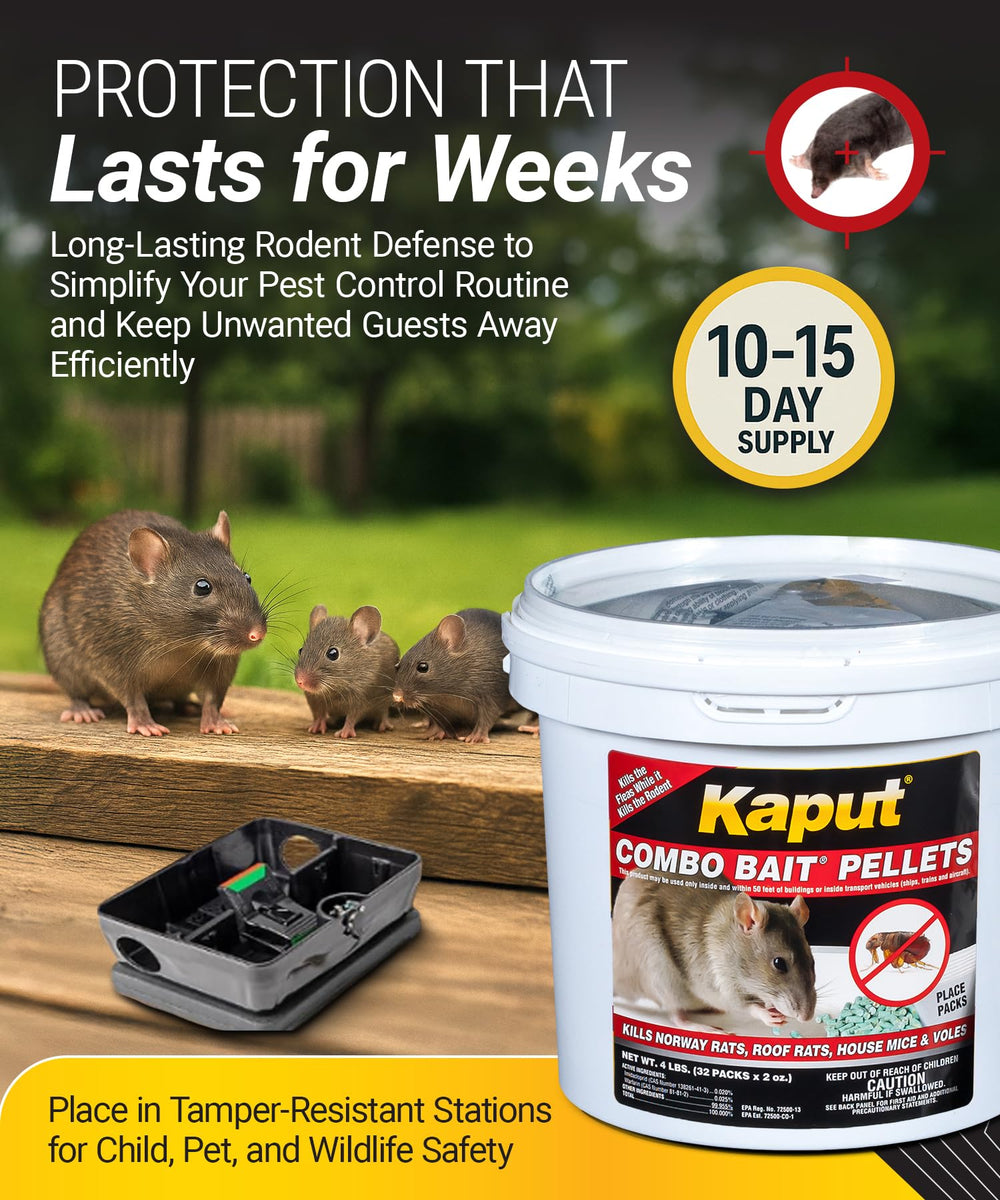 Kaput bait stations set in basement showing brand preventing rodent activity