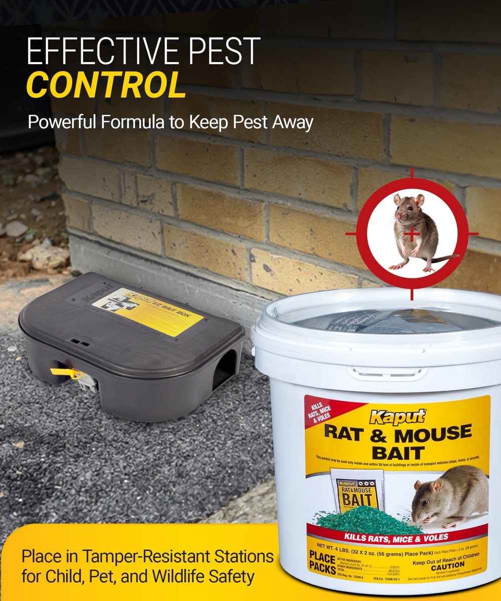 Kaput packets placed in a basement bait station illustrating practical indoor rodent control