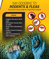 Kaput pellet texture detail highlighting bait formulation for strong rodent attraction