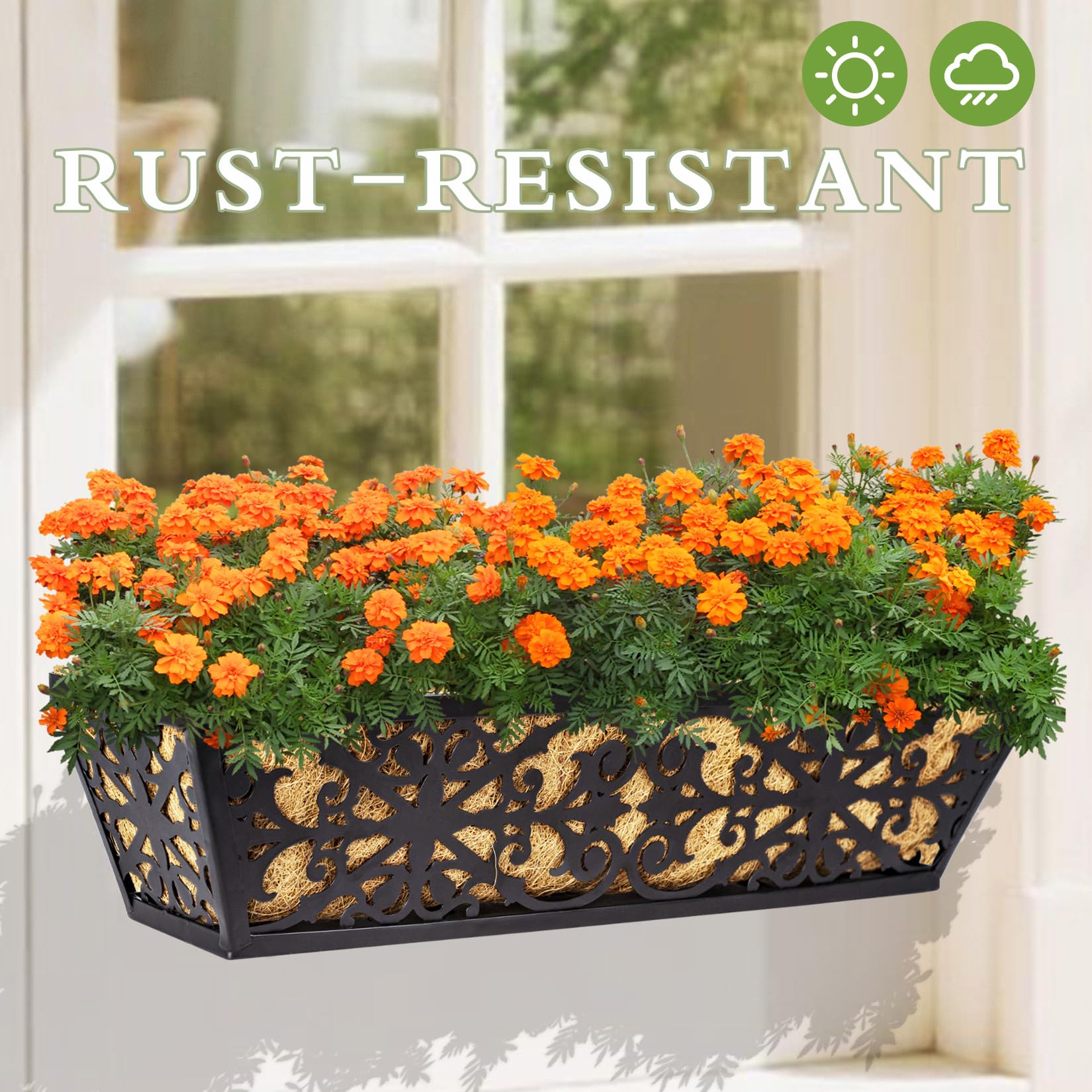 Karlliu powder-coated frame texture close-up showing rust resistance benefit