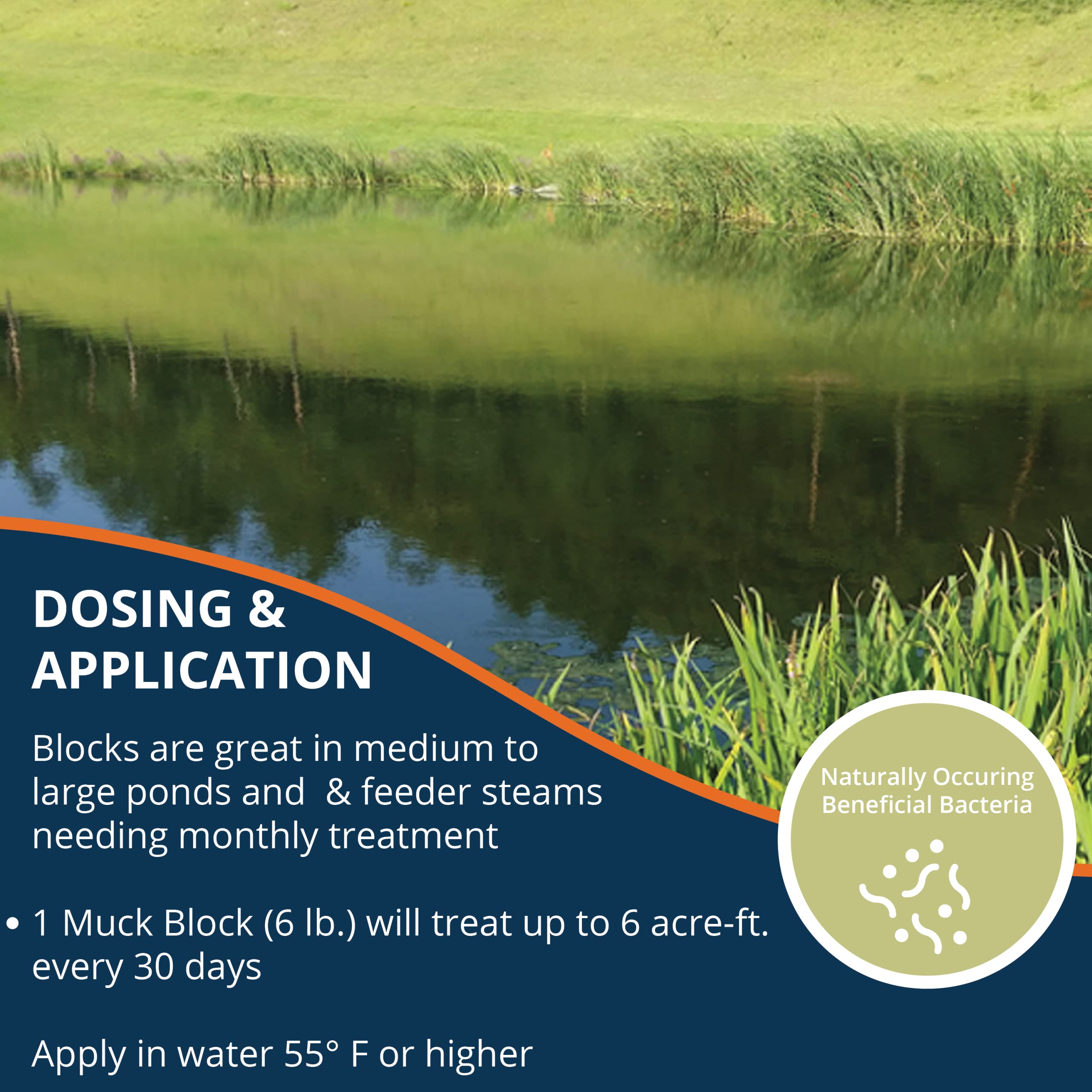 Kasco-treated pond with clearer water illustrating improved appearance