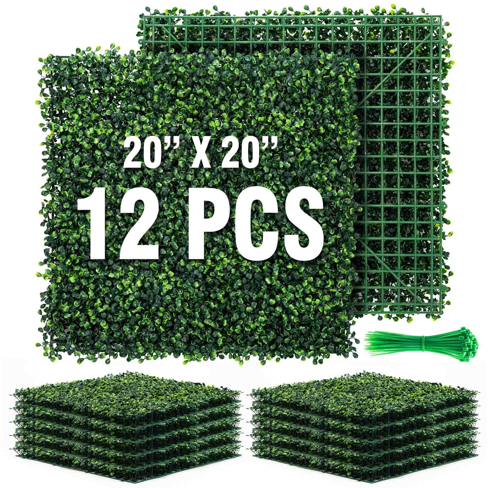 KASZOO front packaging showing full panel set and coverage benefit