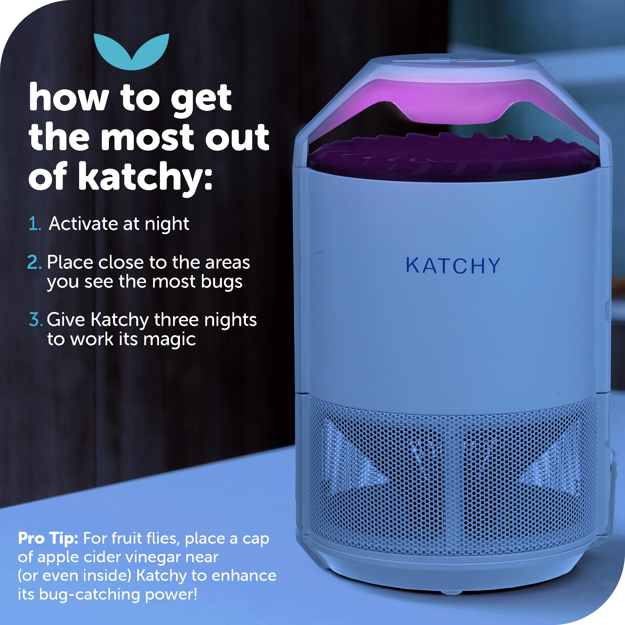 KATCHY beside potted plant reducing fungus gnat activity indoors