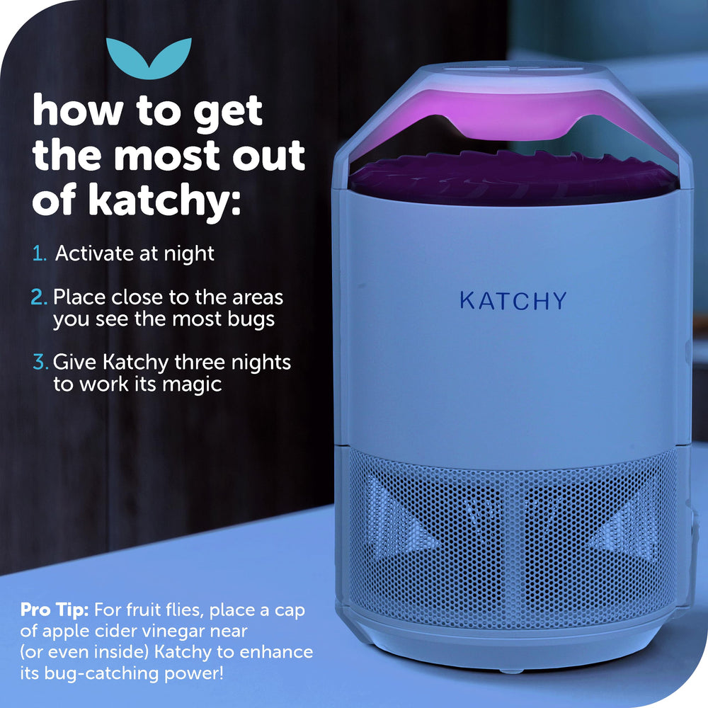 KATCHY beside potted plant reducing fungus gnat activity indoors