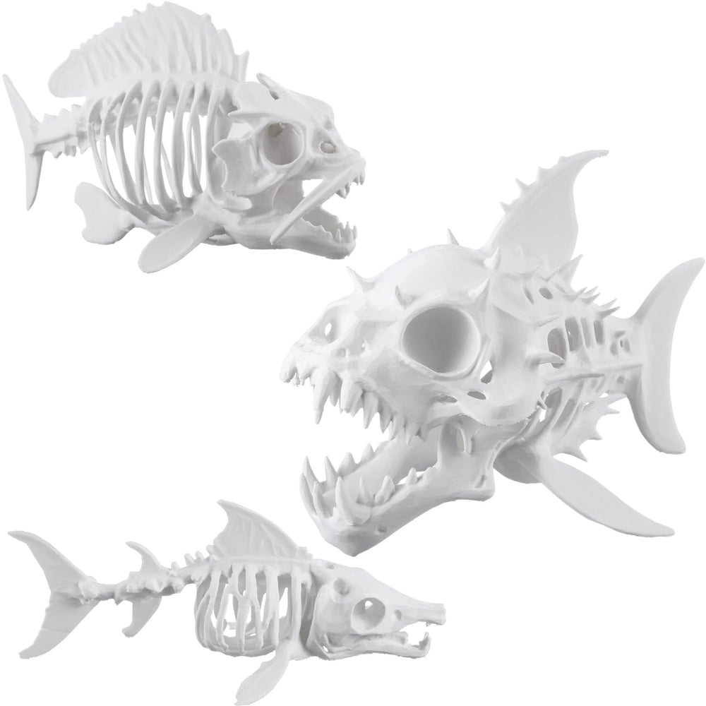 Kathfly front view of fish skeleton showing full shape and spooky detail for display