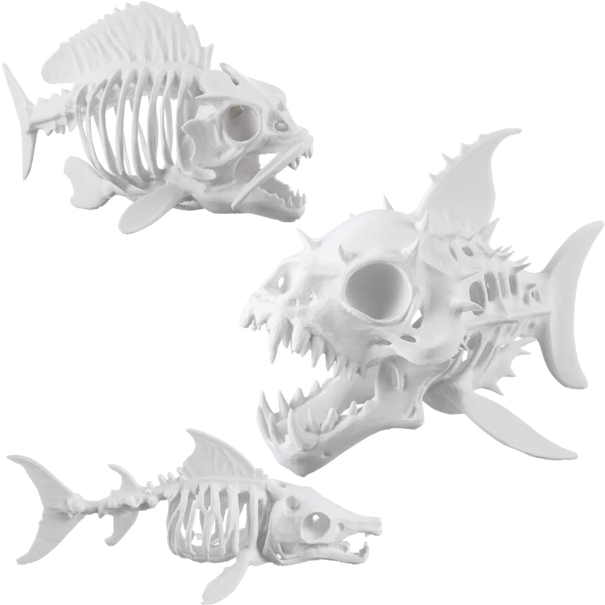 Kathfly front view of fish skeleton showing full shape and spooky detail for display