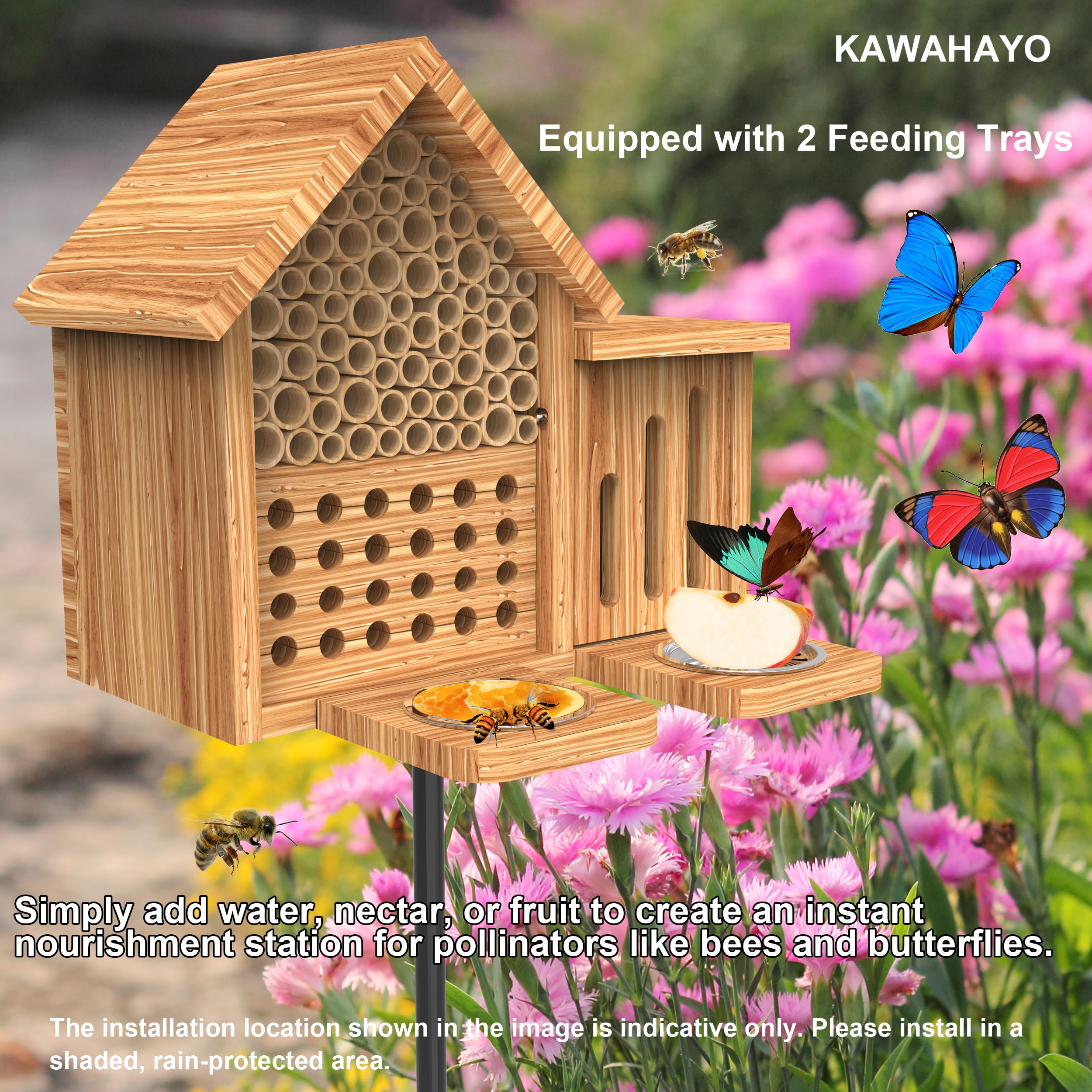 KAWAHAYO butterfly chamber open with pine shavings creating sheltered insect refuge