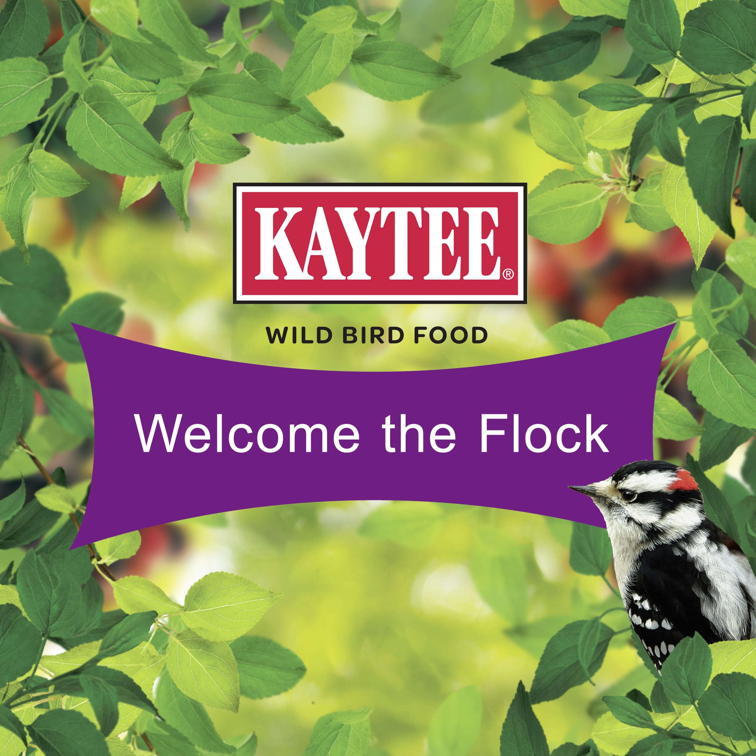 Kaytee product label close-up showing ingredient details for confident selection