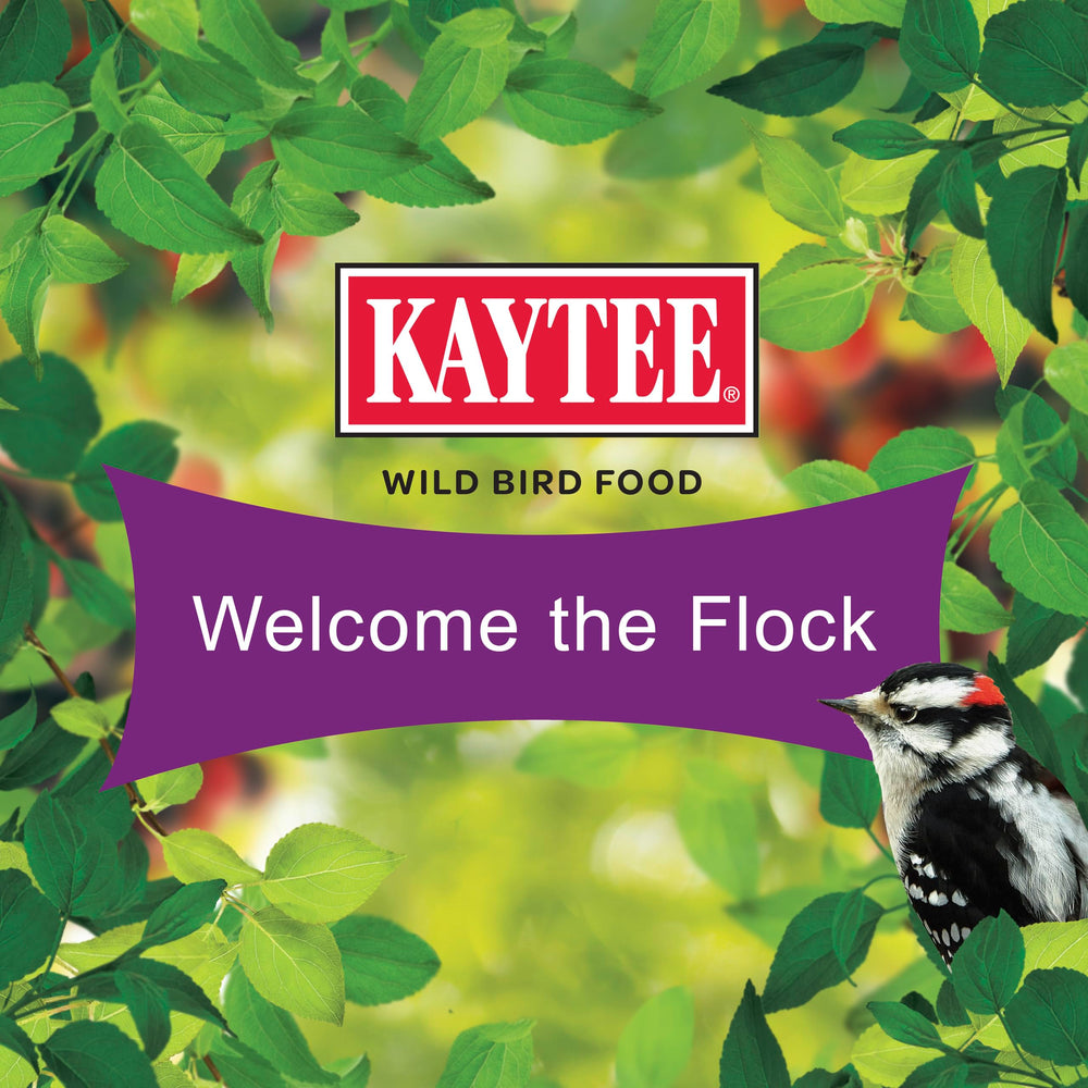 Kaytee product label close-up showing ingredient details for confident selection