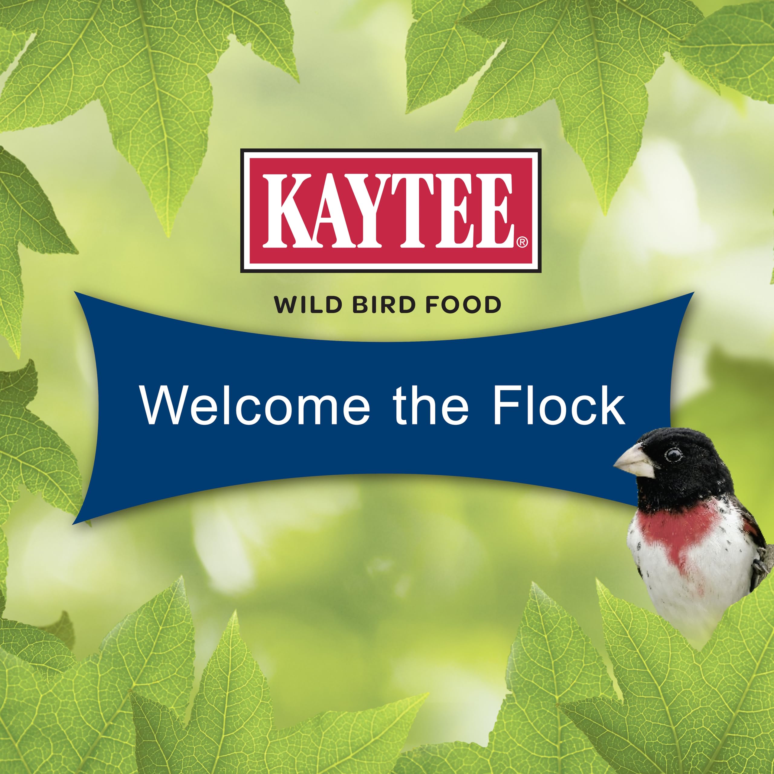 Kaytee four-pack stacked showing value and ready storage