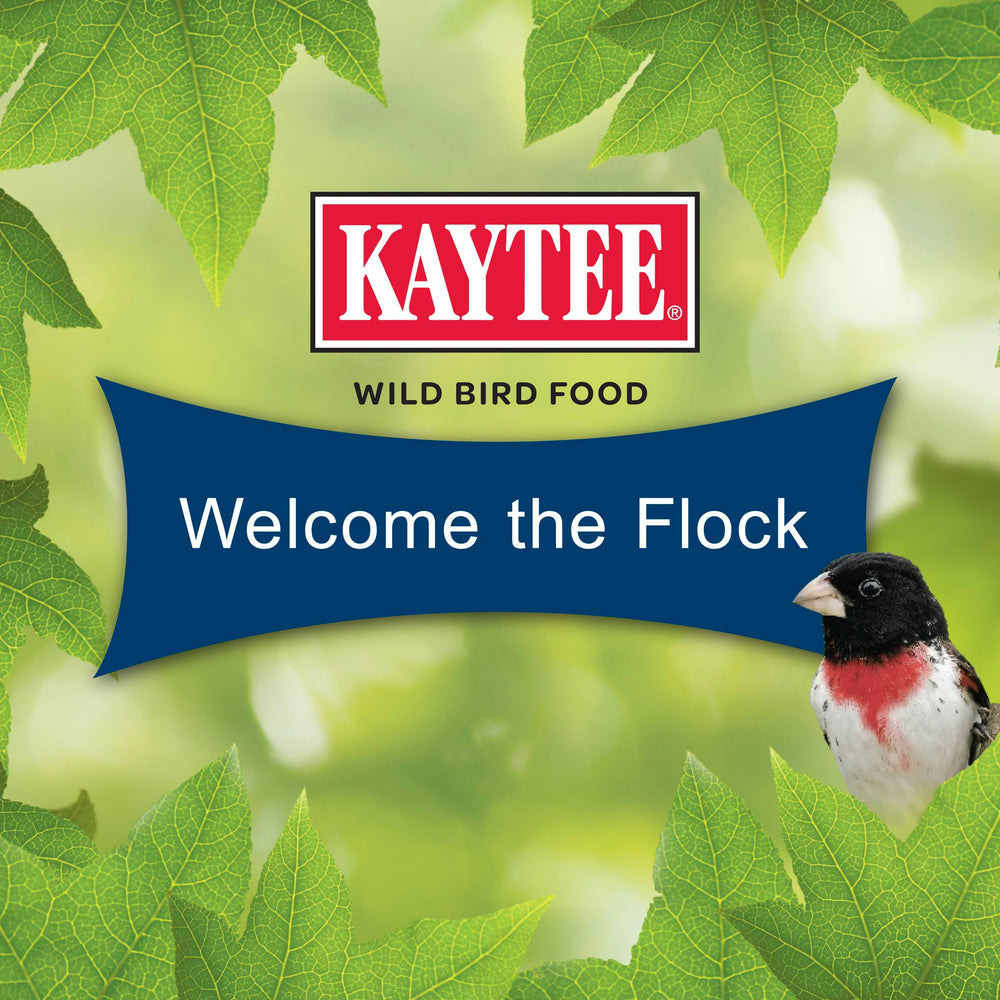 Kaytee four-pack stacked showing value and ready storage