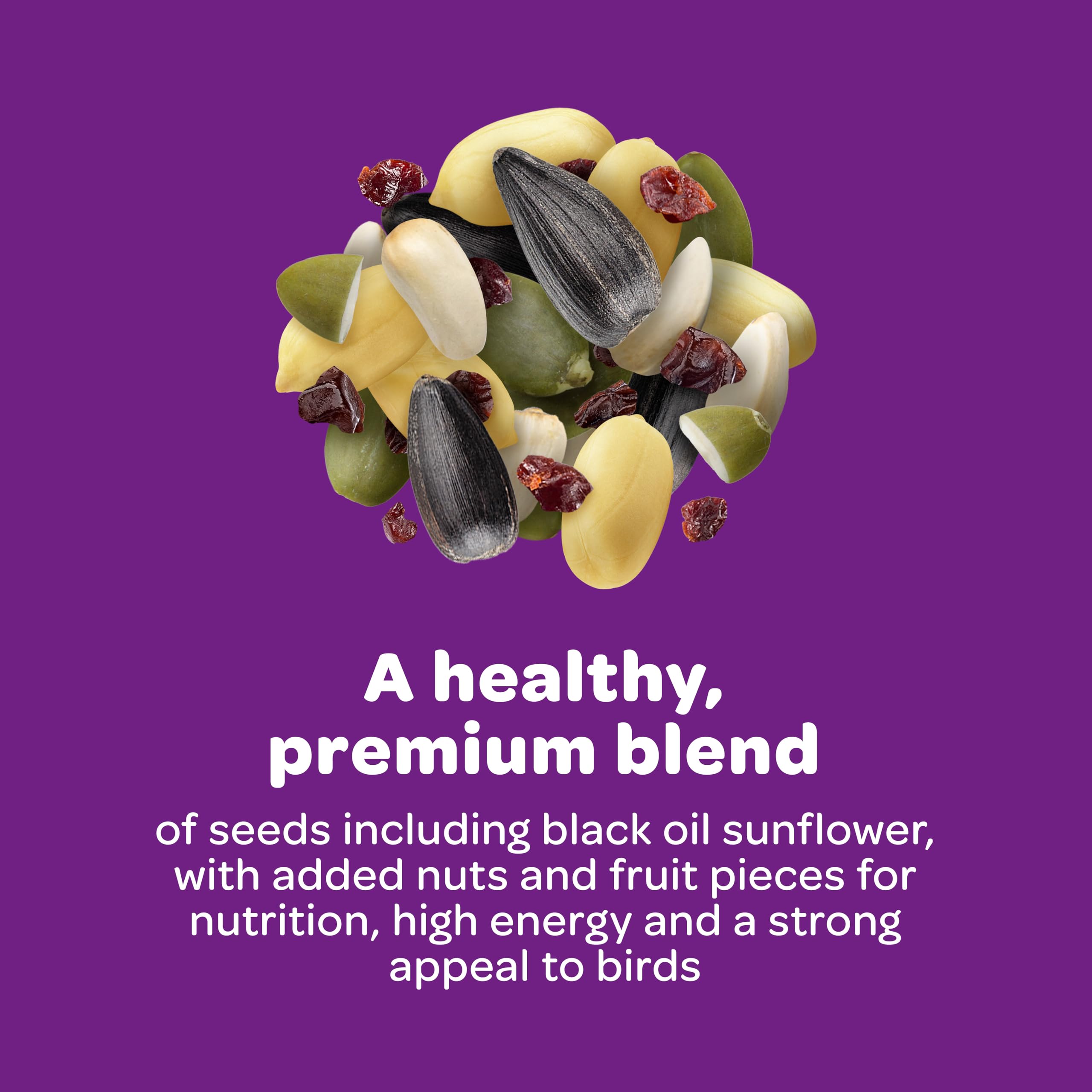 Kaytee seed cake held in hand to show size and easy handling benefits