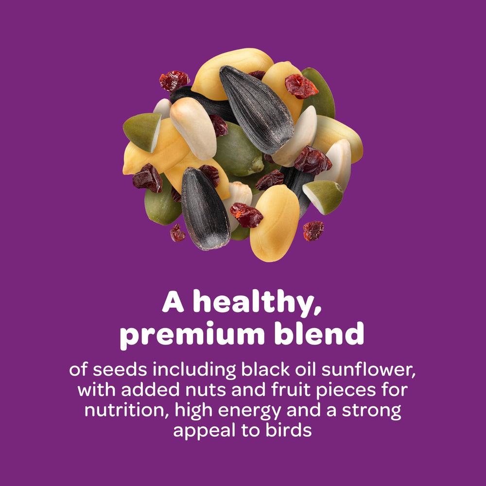 Kaytee seed cake held in hand to show size and easy handling benefits