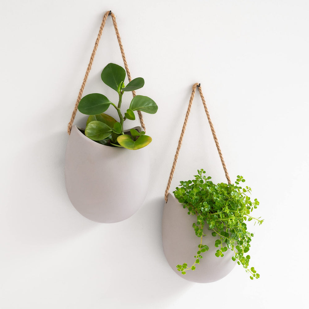 Kazai Ellie front view showing two matte light gray ceramic planters and clean silhouette benefit