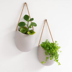 Kazai Ellie front view showing two matte light gray ceramic planters and clean silhouette benefit