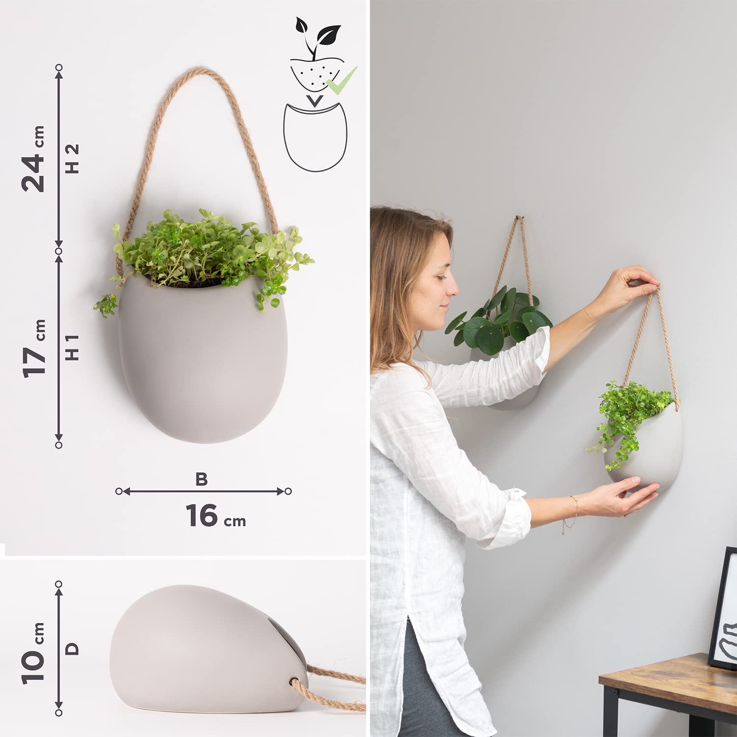 Kazai Ellie hanging with succulents installed on wall showing decorative vertical greenery benefit